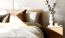 swath of sunlight shines across a well made bed and bedside table with a vase of cotton plants