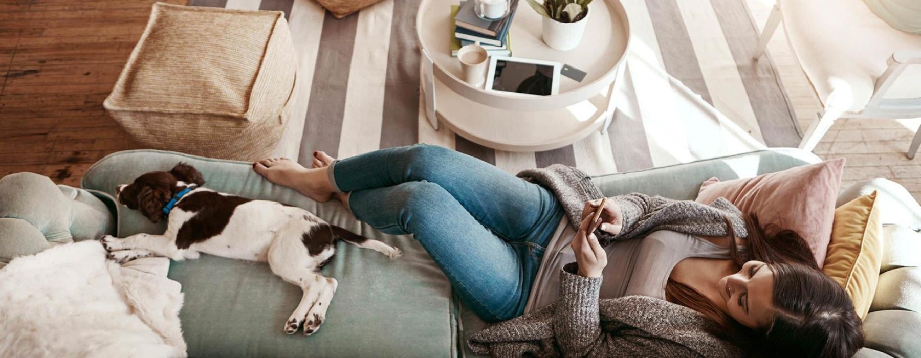 overhead view of  a woman texting as she lies on a couch with a dog at her feet