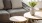 sunlight pours through a large window in furnished living room