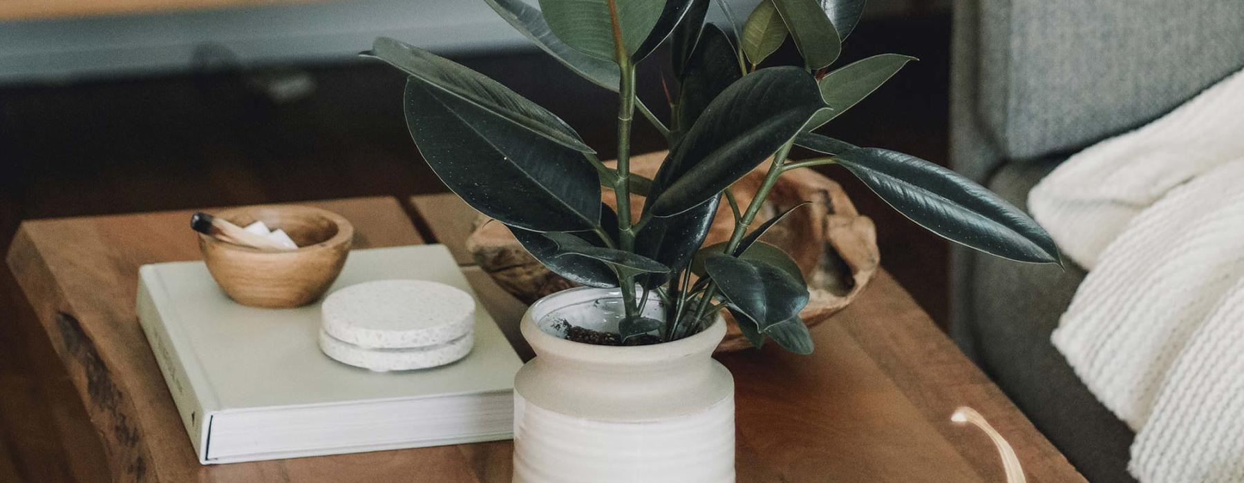 coffee table decorated with books, a potted plant, a candle and other knick-knacks